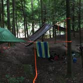 Review photo of Thompson Creek Trail Campsites by Asher K., July 1, 2017
