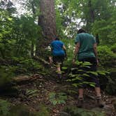 Review photo of Thompson Creek Trail Campsites by Asher K., July 1, 2017