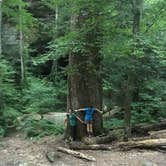 Review photo of Thompson Creek Trail Campsites by Asher K., July 1, 2017