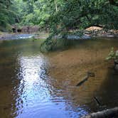 Review photo of Thompson Creek Trail Campsites by Asher K., July 1, 2017