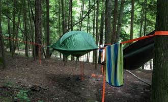 Camping near McDougal Hunt Camp: Thompson Creek Trail Campsites, Bankhead National Forest, Alabama