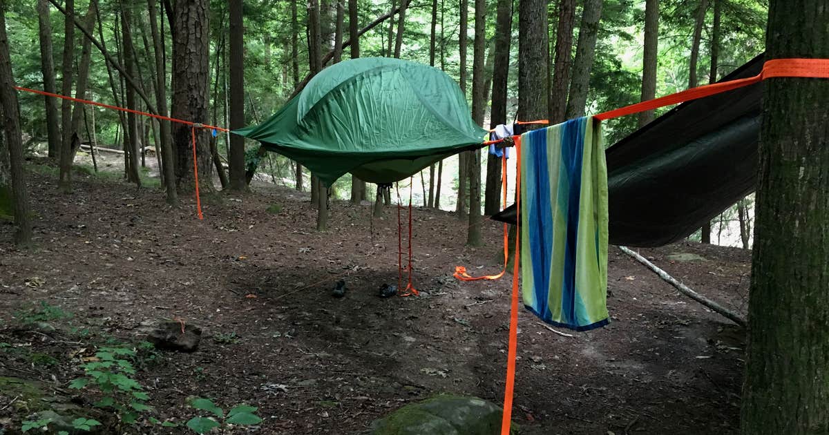 Thompson Creek Trail Campsites