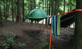 Thompson Creek Trail Campsites