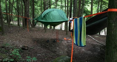 Thompson Creek Trail Campsites