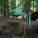 Thompson Creek Trail Campsites