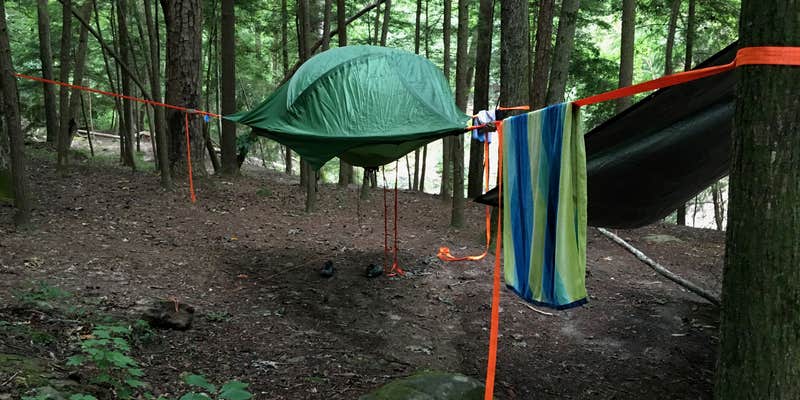 Camper submitted image from Thompson Creek Trail Campsites