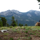 Review photo of Longs Peak Campground — Rocky Mountain National Park by Kelly Z., June 23, 2016
