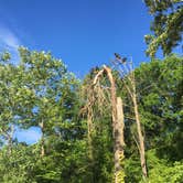 Review photo of Moutardier by Shelly S., June 21, 2017