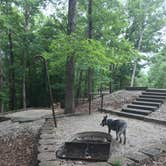 Review photo of Moutardier by Shelly S., June 21, 2017