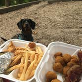 Review photo of Moutardier by Shelly S., June 21, 2017