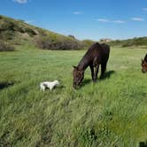 Review photo of Indian Creek Equestrian Campground by Mikaela R., July 1, 2017