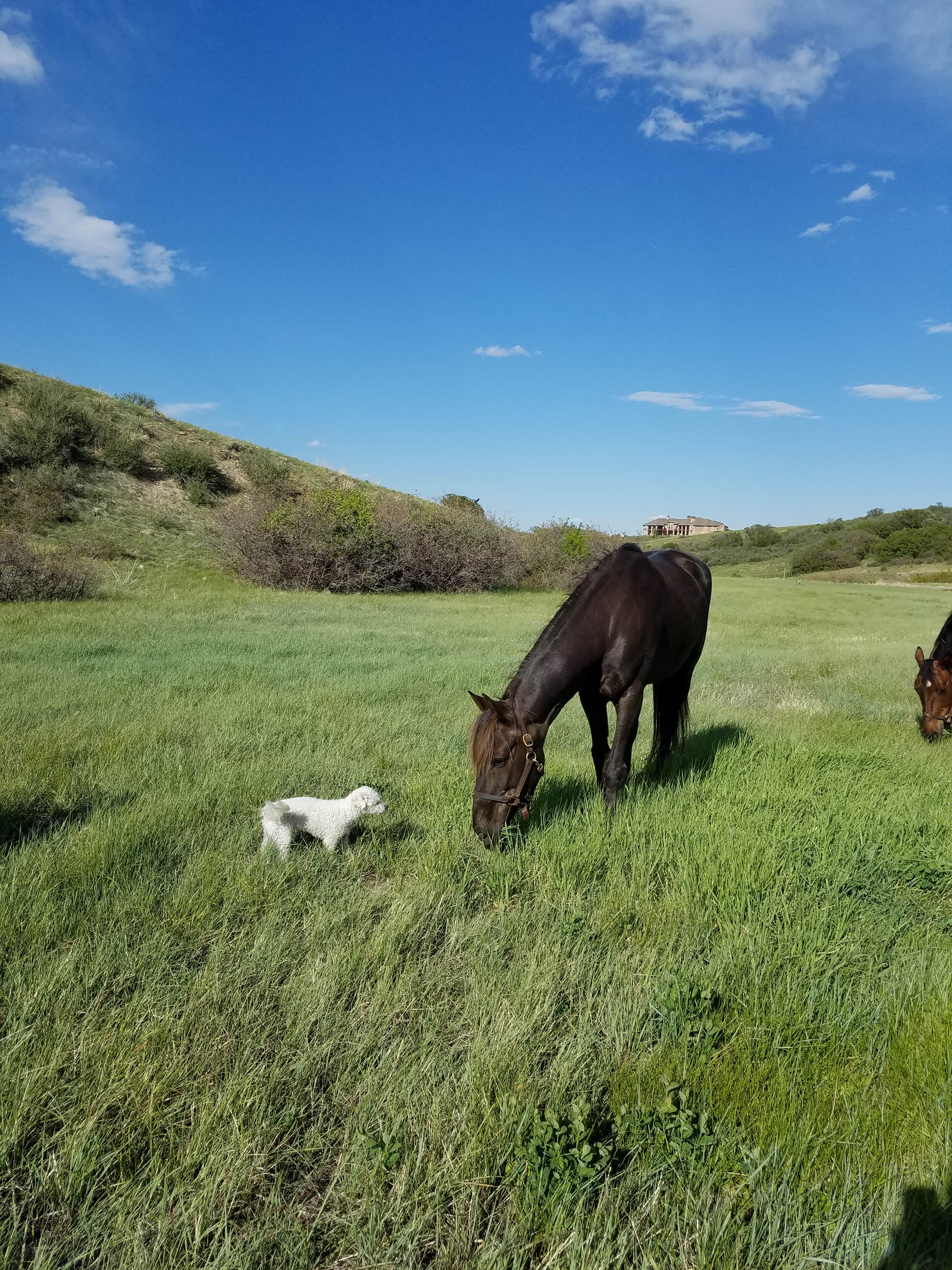 Camper submitted image from Indian Creek Equestrian Campground - 2