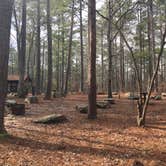 Review photo of Turnipseed Campground by Asher K., July 1, 2017