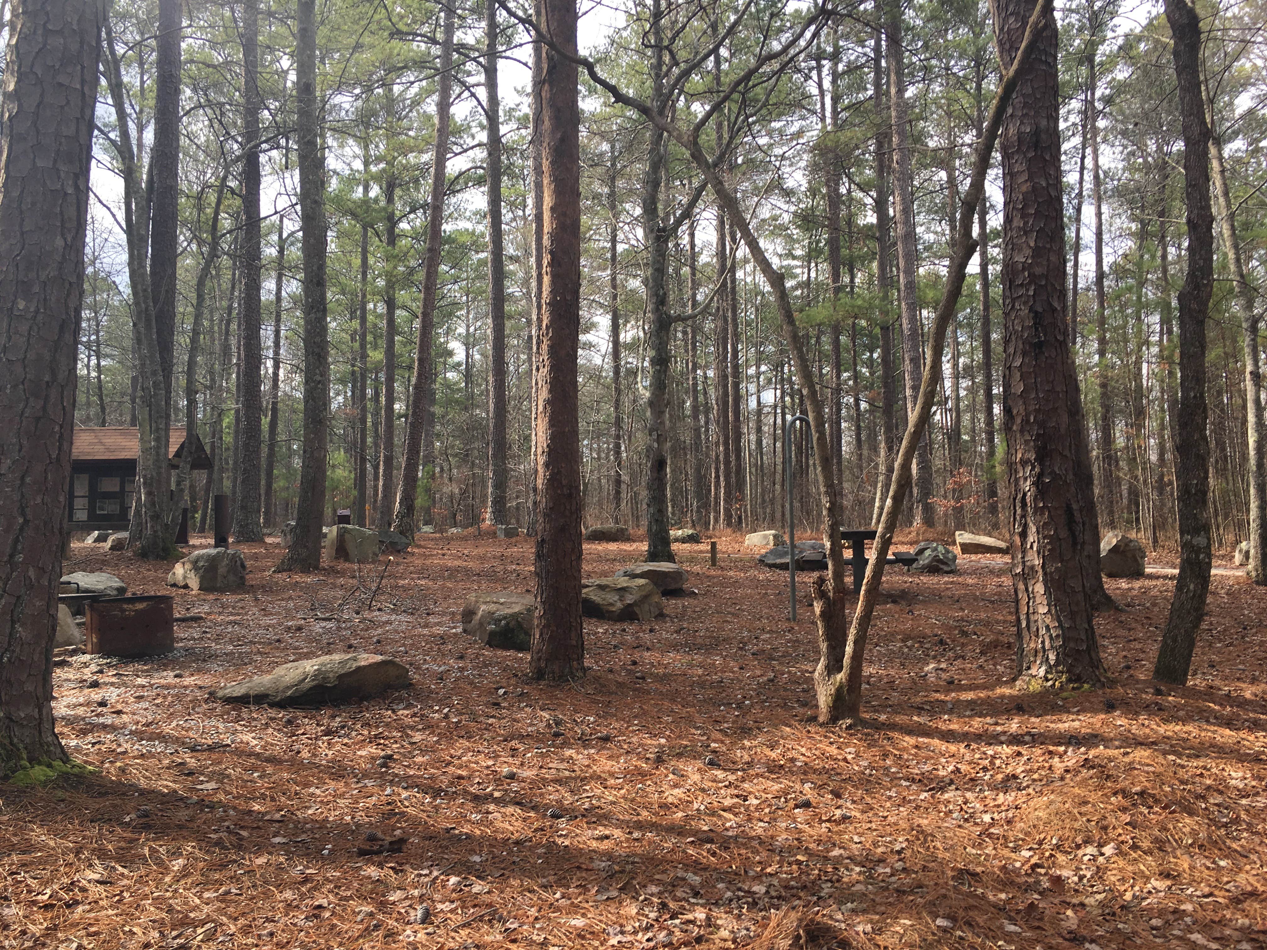 Camper submitted image from Turnipseed Campground - 2