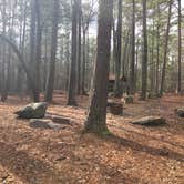 Review photo of Turnipseed Campground by Asher K., July 1, 2017