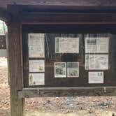 Review photo of Turnipseed Campground by Asher K., July 1, 2017