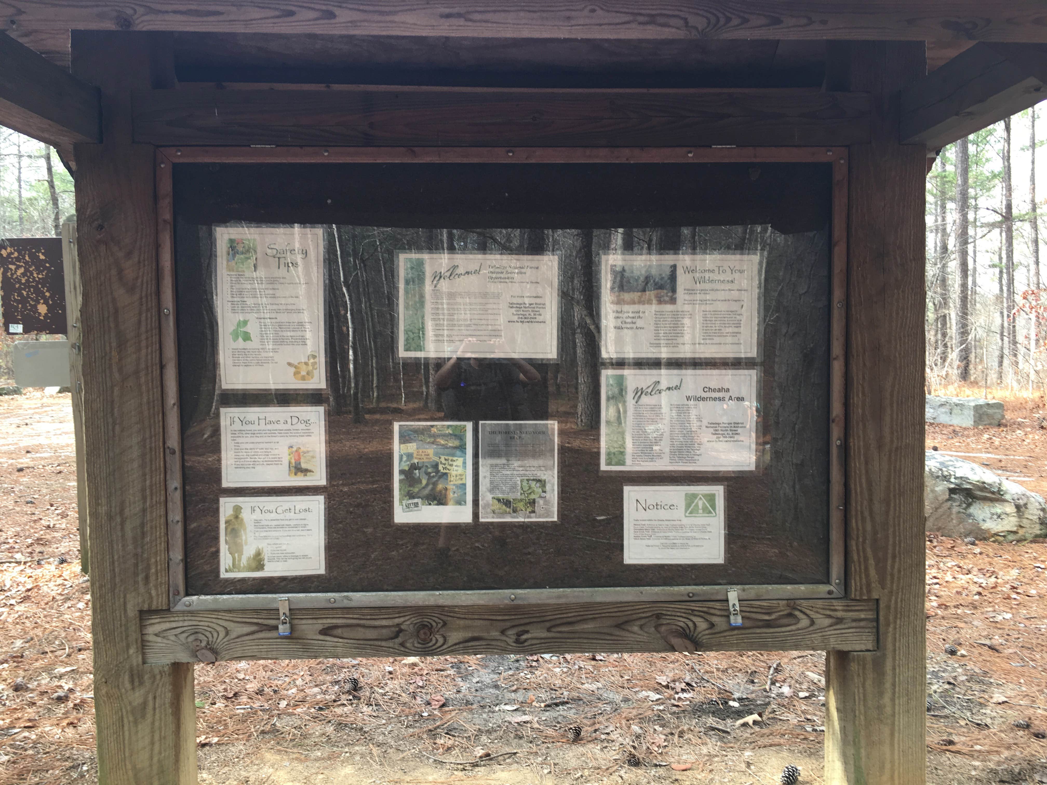 Camper submitted image from Turnipseed Campground - 3