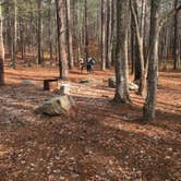 Review photo of Turnipseed Campground by Asher K., July 1, 2017