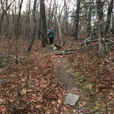 Review photo of Turnipseed Campground by Asher K., July 1, 2017