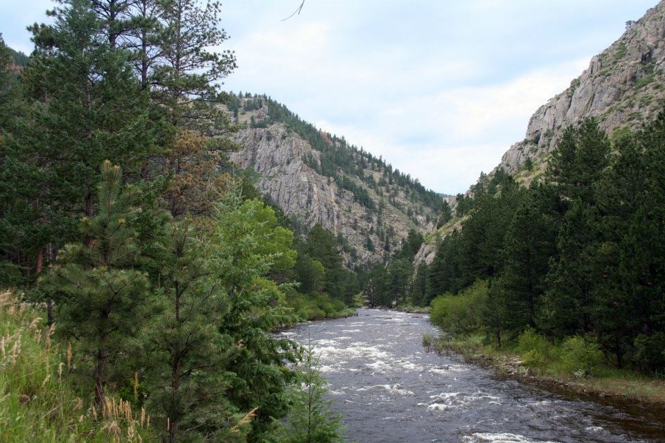 Camper submitted image from North Fork Poudre Campground - 2