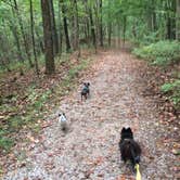 Review photo of Thousand Trails Diamond Caverns RV & Golf Resort by Shelly S., July 1, 2017