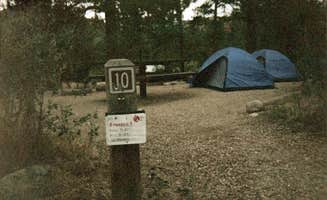 Kelly Z.'s photo at North Fork Poudre Campground near Jelm, WY