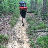 Review photo of Wolf Pen Hunters Camp by Asher K., July 1, 2017