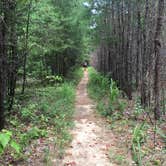 Review photo of Wolf Pen Hunters Camp by Asher K., July 1, 2017