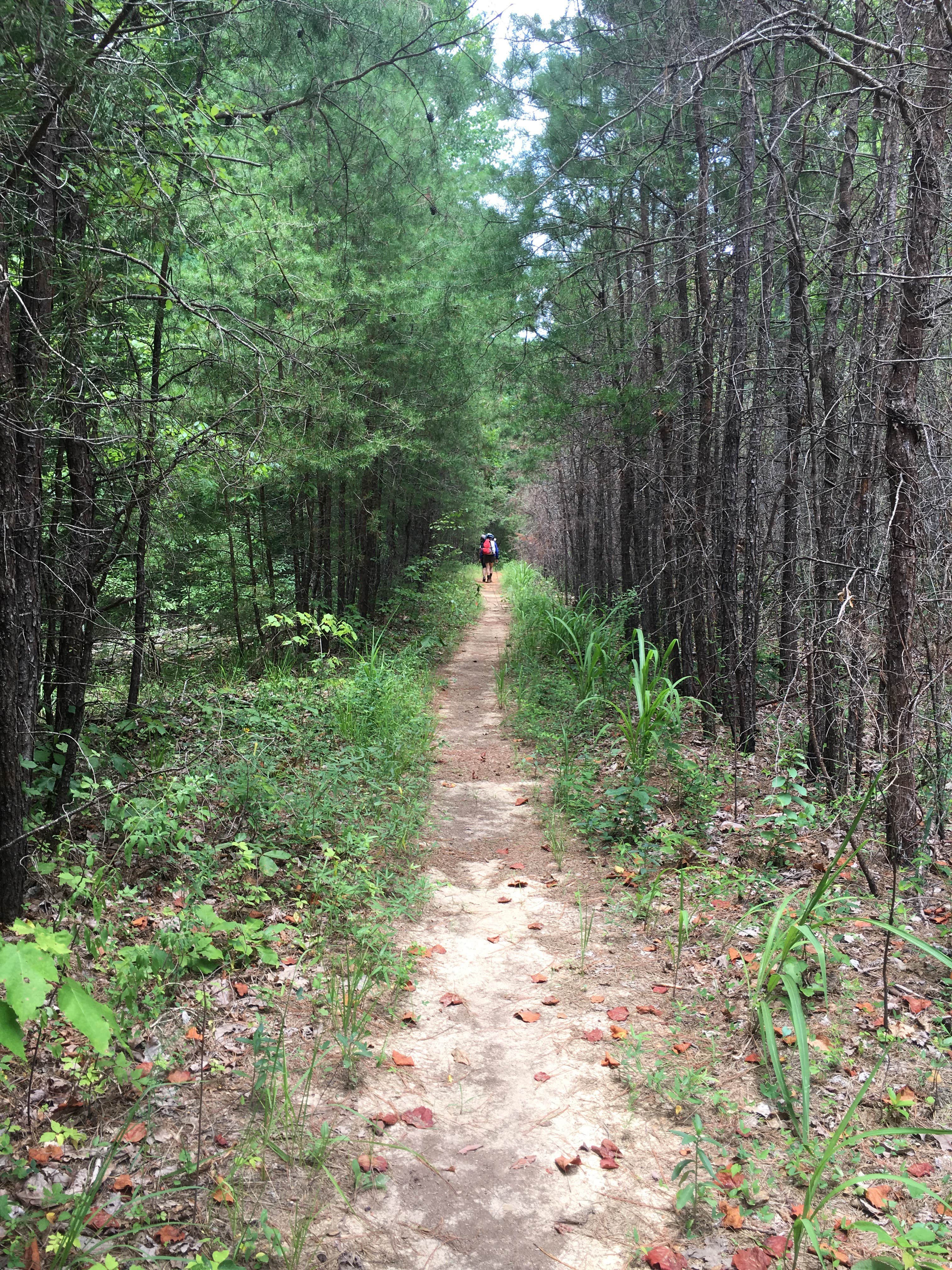 Camper submitted image from Wolf Pen Hunters Camp - 3