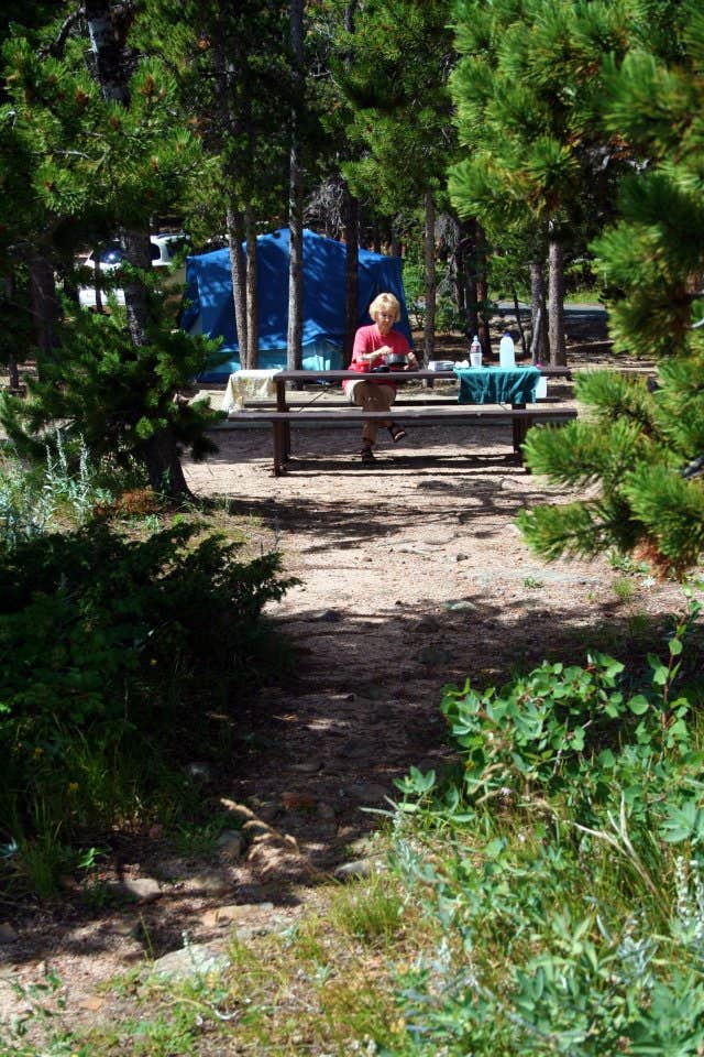 Camper-submitted photo at Longs Peak Campground — Rocky Mountain National Park near Estes Park, CO