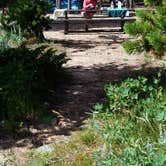 Review photo of Longs Peak Campground — Rocky Mountain National Park by Kelly Z., June 23, 2016