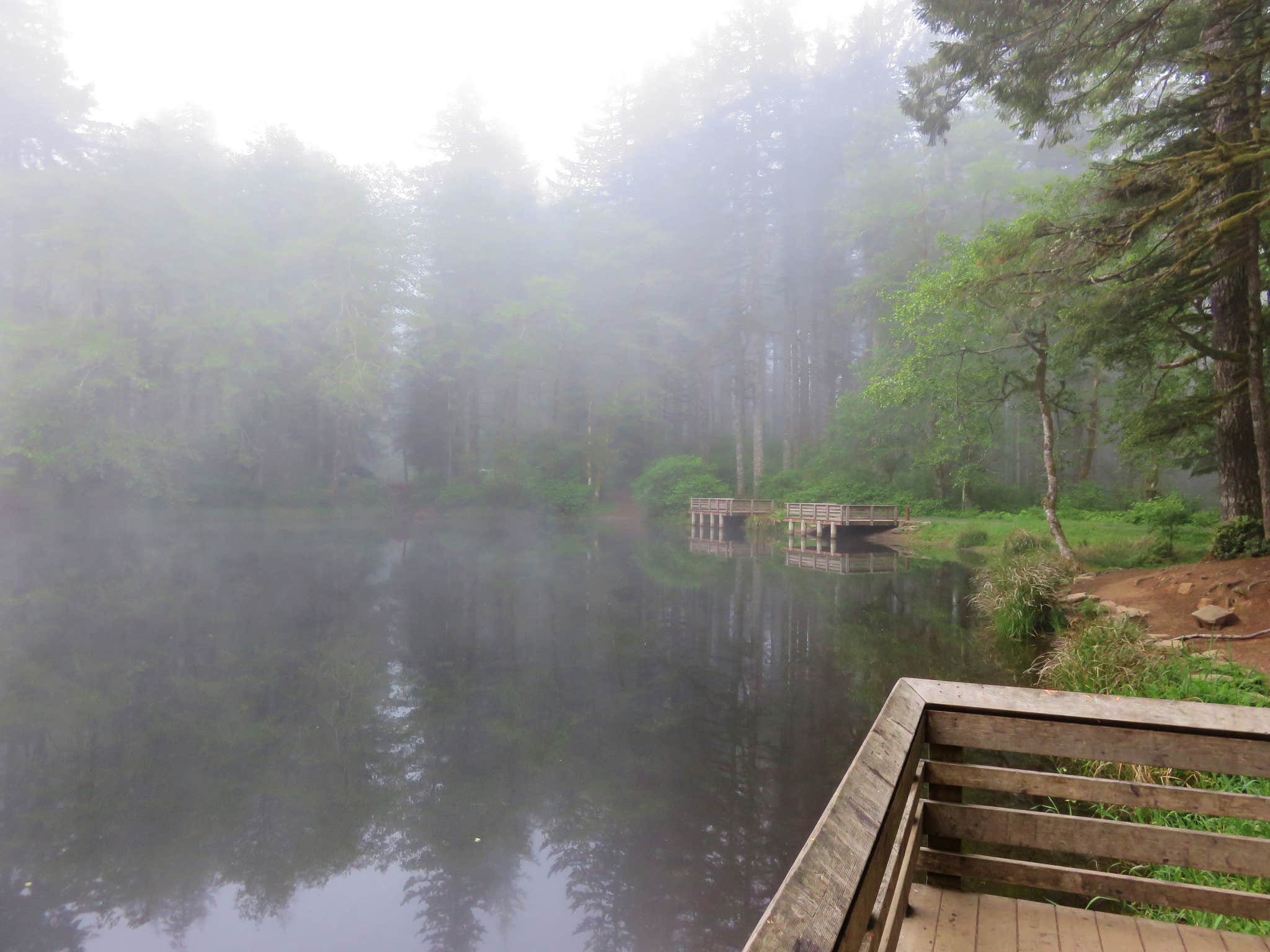 Camper-submitted photo at Hebo Lake Campground near Beaver, OR