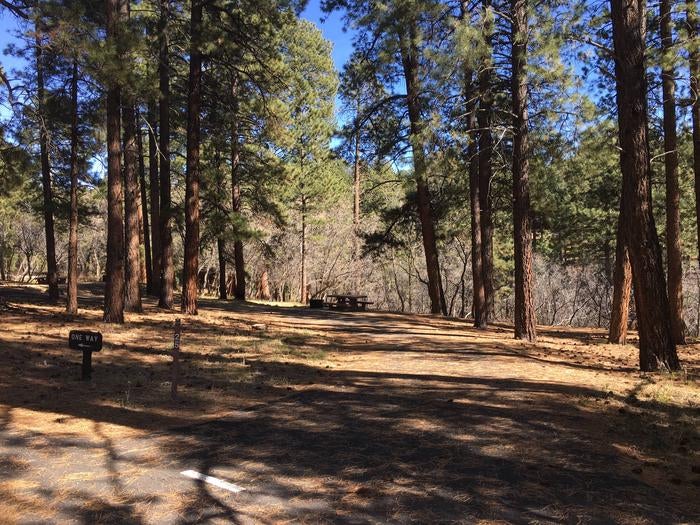 Camper submitted image from North Rim Campground — Grand Canyon National Park - 4