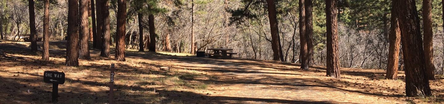 Camper submitted image from North Rim Campground — Grand Canyon National Park - 3