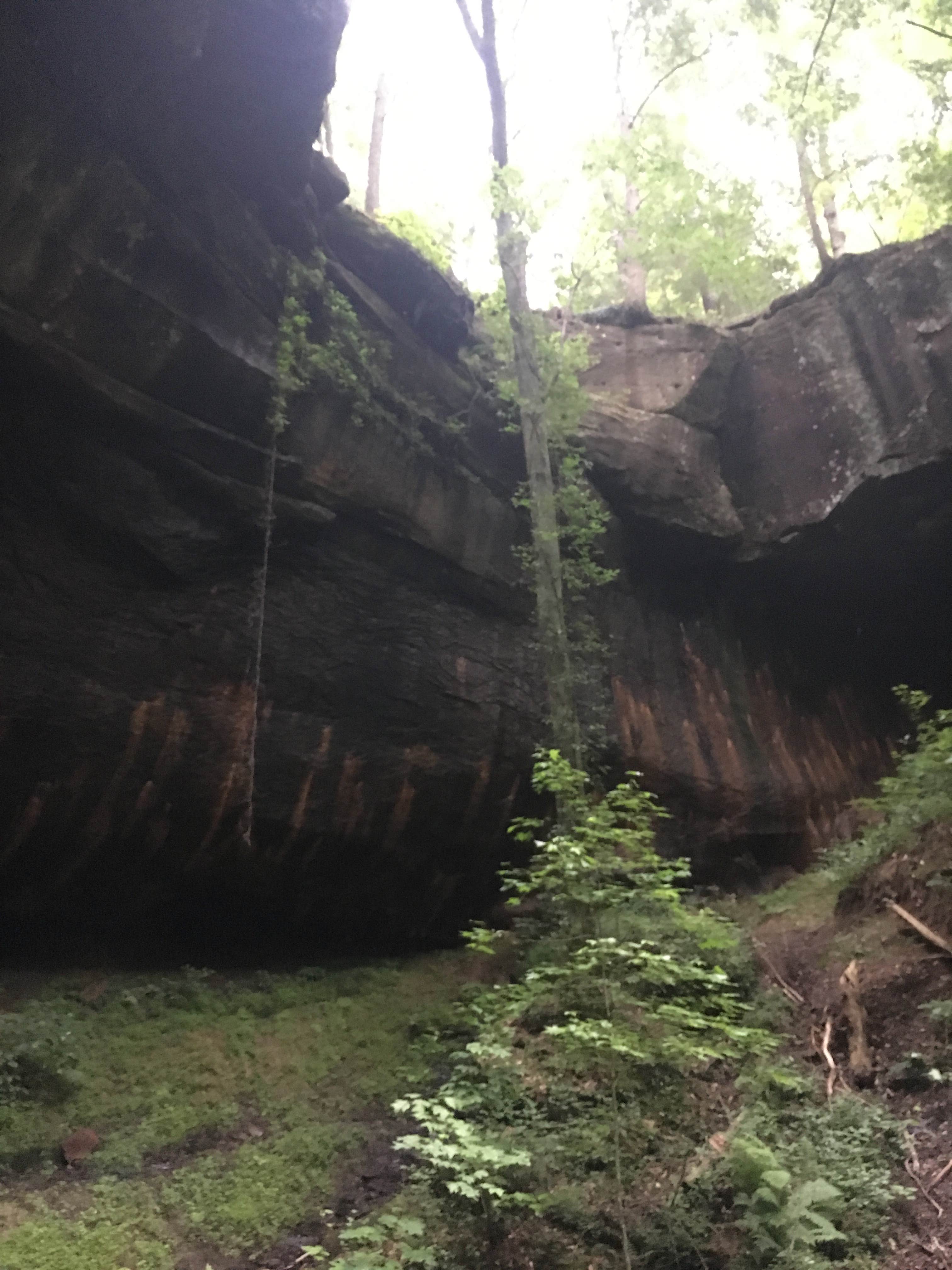 Camper submitted image from McDougle Hunt Camp - 2