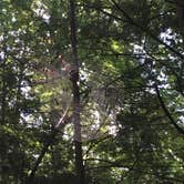 Review photo of McDougle Hunt Camp by Asher K., July 1, 2017