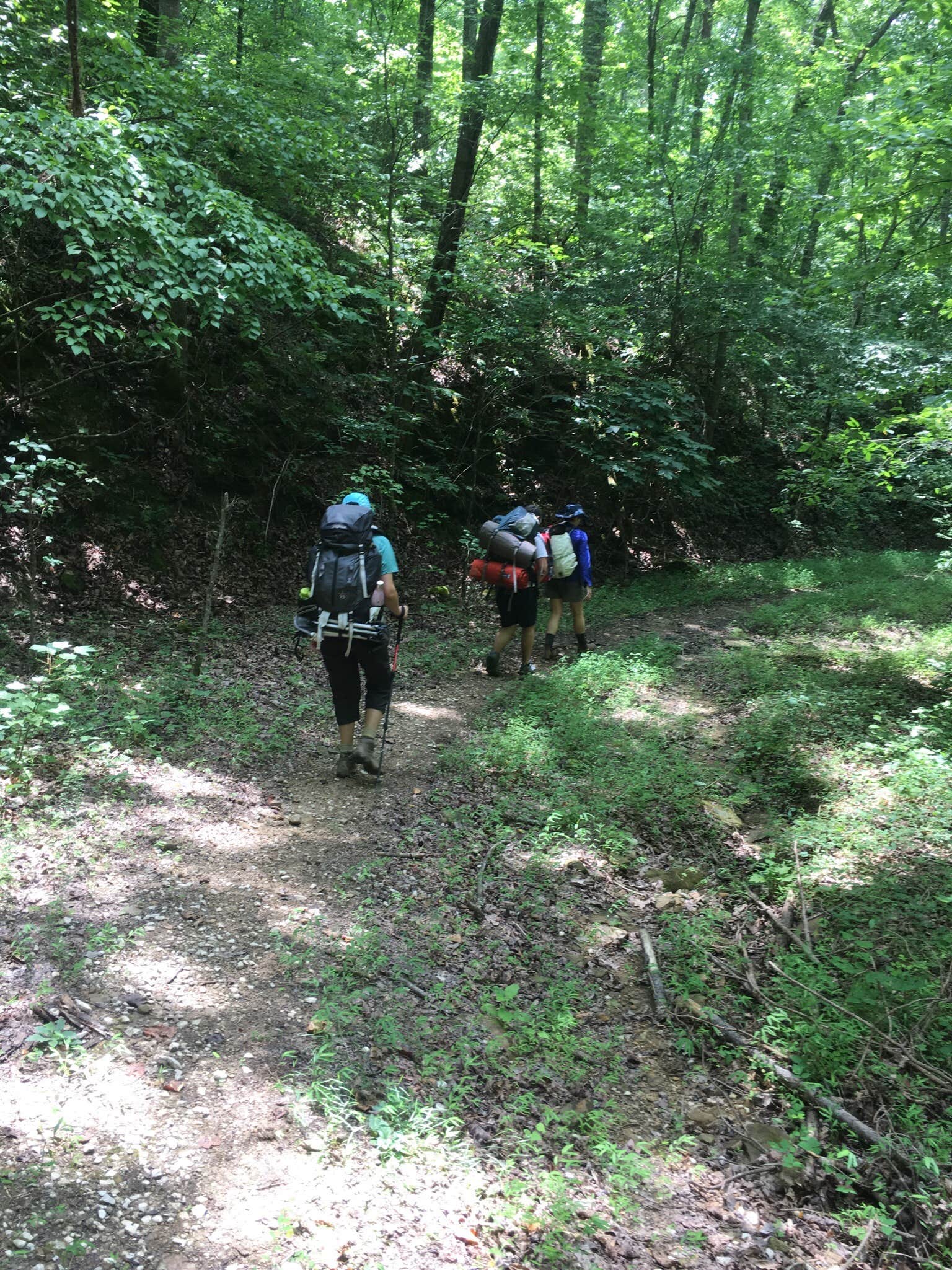 Camper submitted image from McDougle Hunt Camp - 5
