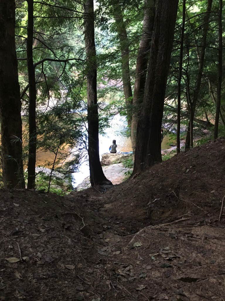 Camper-submitted photo at McDougle Hunt Camp near Hartselle, AL