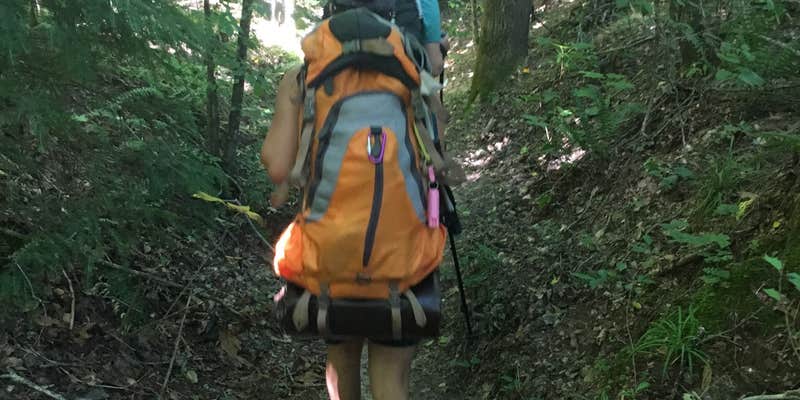 Camper submitted image from McDougle Hunt Camp