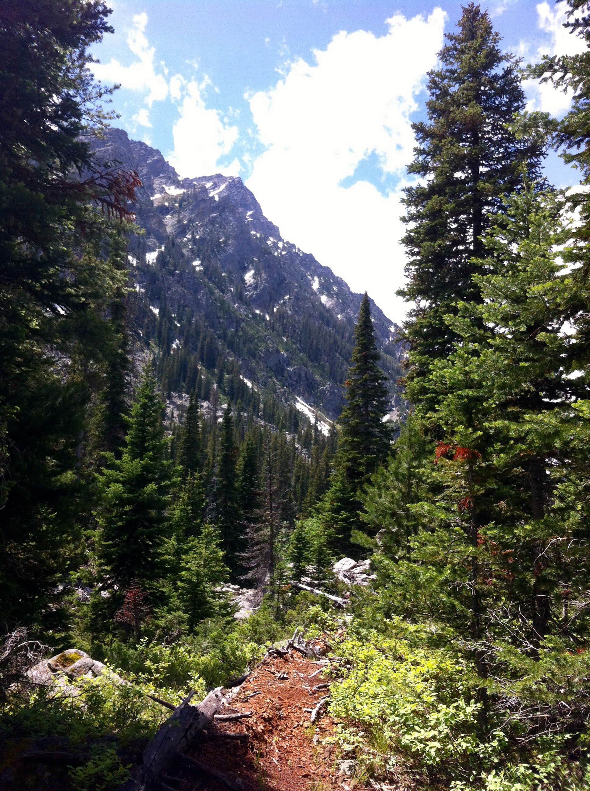 Camper-submitted photo at Headwaters Campground at Flagg Ranch — John D. Rockefeller, Jr., Memorial Parkway near Moose, WY