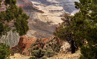 Camping near Grand Canyon-Williams KOA: Kaibab Lake Sites And Group Areas, Williams, Arizona