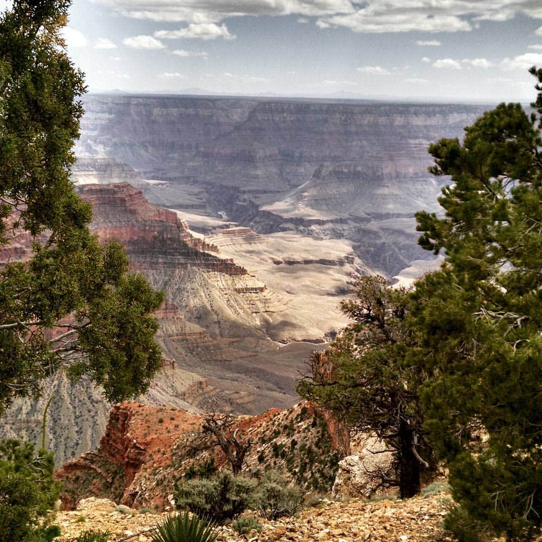 Camper submitted image from Kaibab Lake Sites And Group Areas - 1