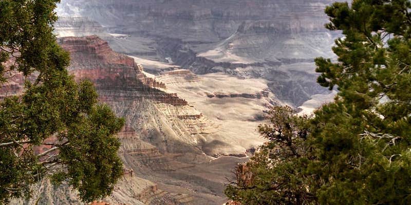 Camper submitted image from Kaibab Lake Sites And Group Areas