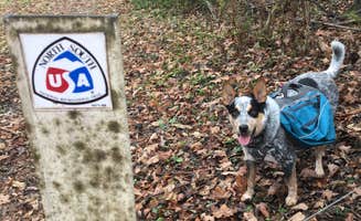 Shelly S.'s photo of camping with pets at Lake Barkley State Resort Park near Cadiz, KY