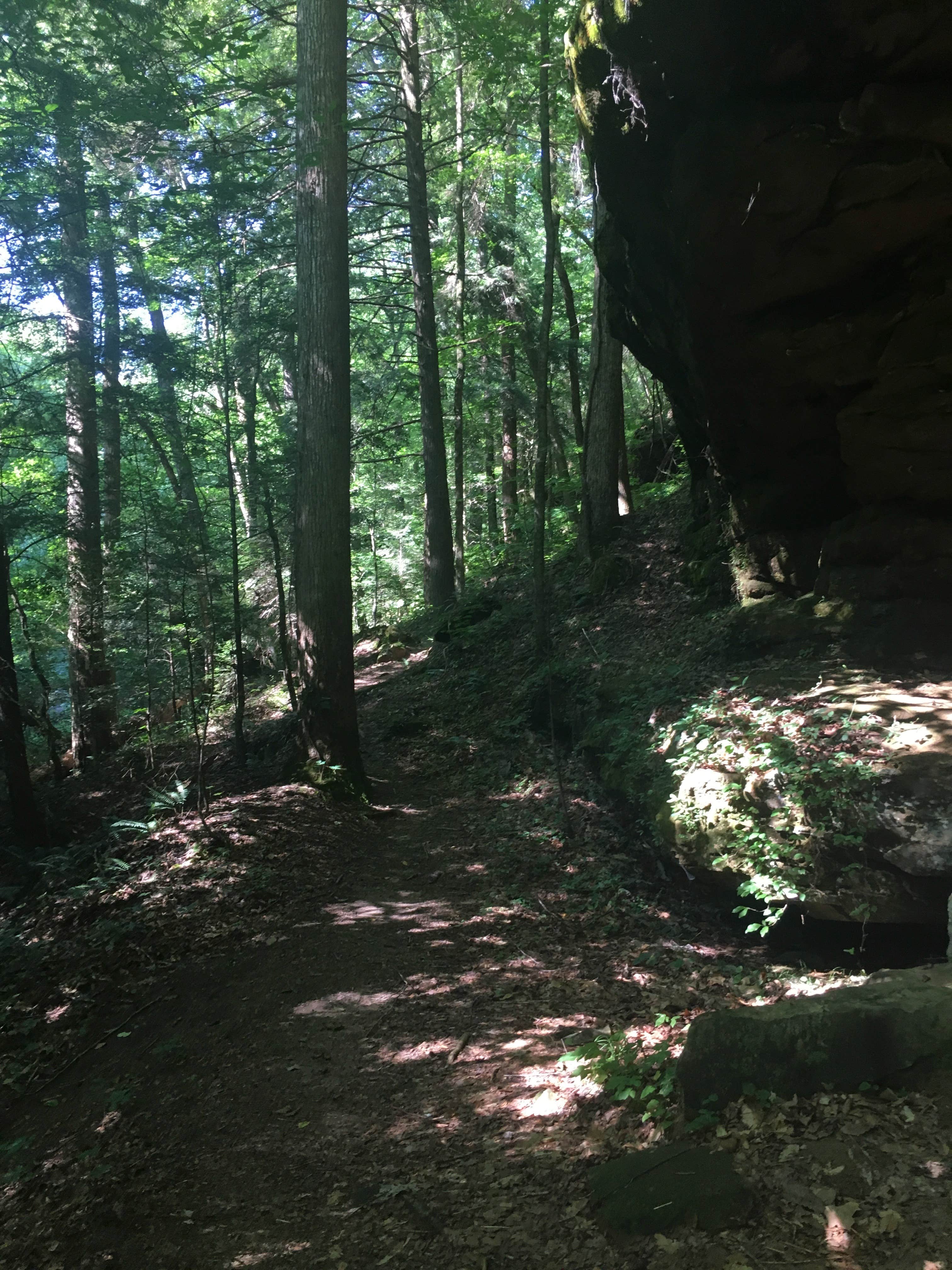 Camper submitted image from Owl Creek Horse Camp - 2