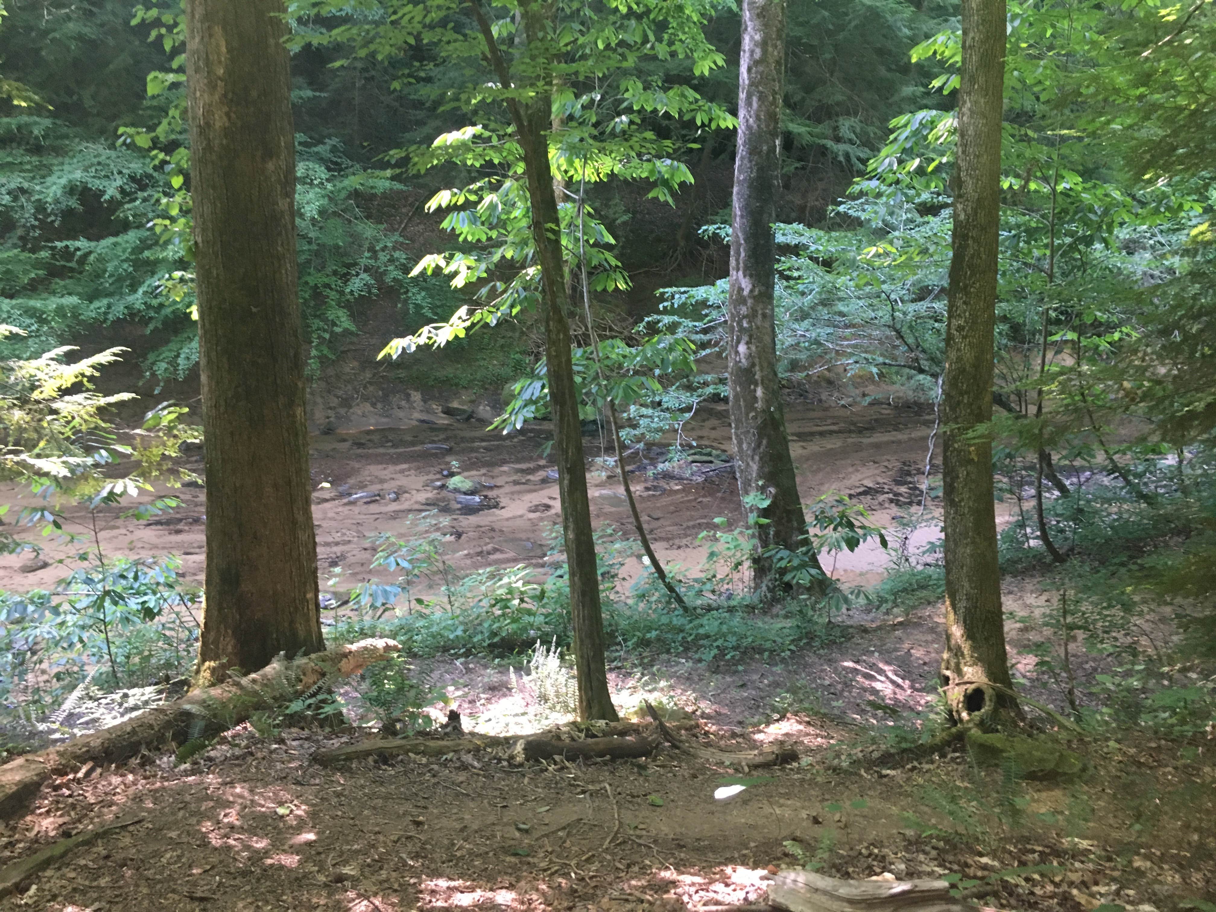 Camper-submitted photo at Owl Creek Horse Camp near Danville, AL