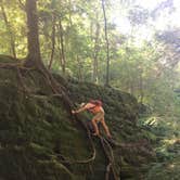 Review photo of Owl Creek Horse Camp by Asher K., July 1, 2017
