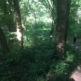 Review photo of Owl Creek Horse Camp by Asher K., July 1, 2017