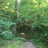 Review photo of Owl Creek Horse Camp by Asher K., July 1, 2017