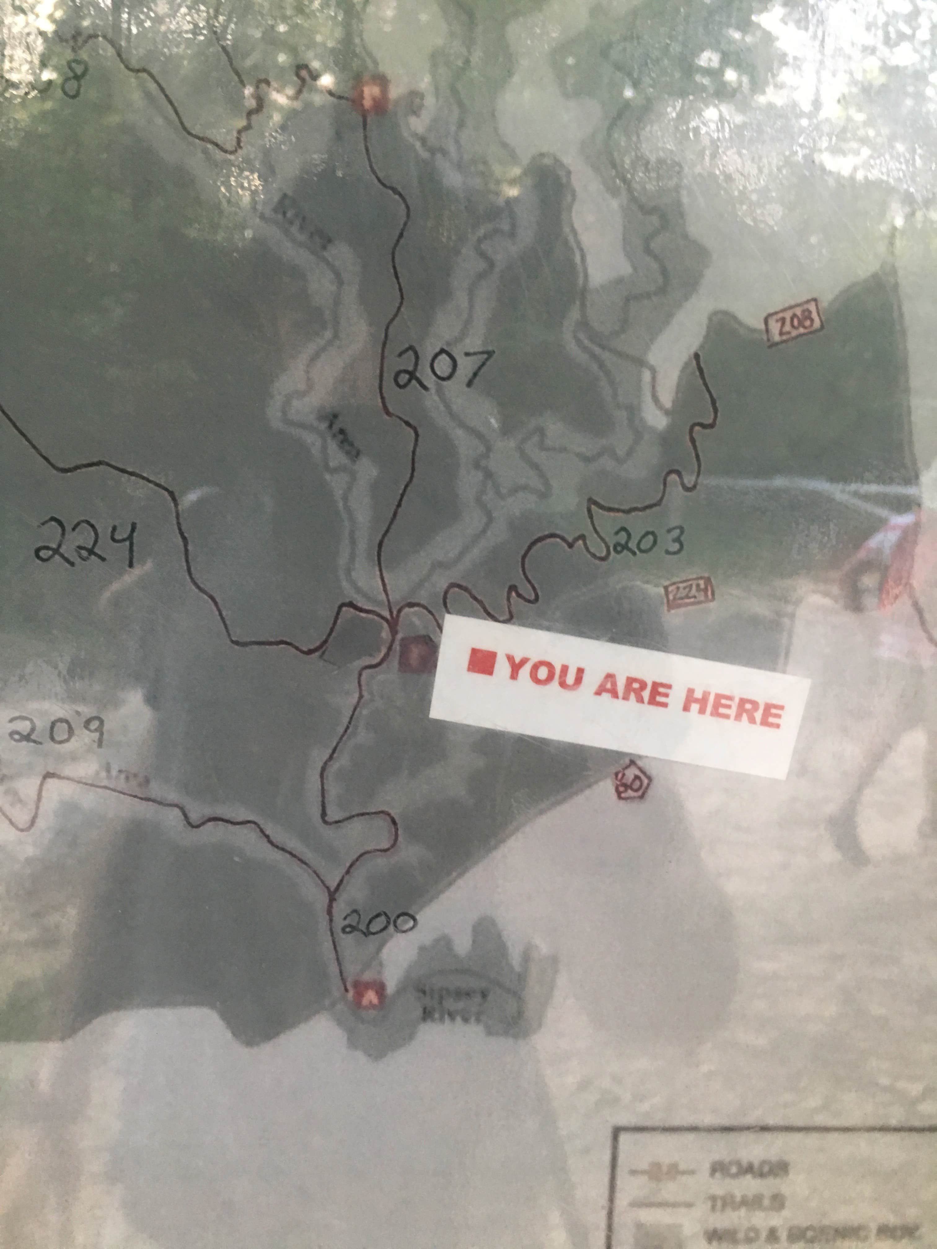 Camper submitted image from Owl Creek Horse Camp - 3